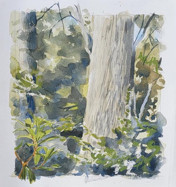Watercolor painting of a forest scene featuring a large tree trunk, green foliage, and blue-gray shadows on a white paper background.