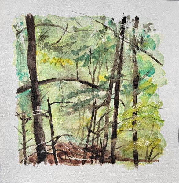Crums Woods May, watercolor on Arches paper painting by Cerulean Arts Collective Member Keith Leitner