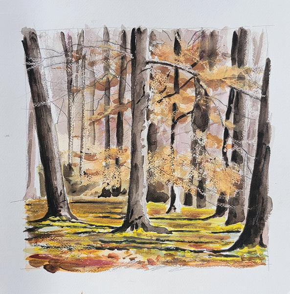 Watercolor painting of an early spring forest scene with tall tree trunks, golden-yellow and orange foliage, and a sunlit ground covered in fallen leaves, shown on a white paper background.