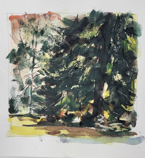 Holly Shade - Swarthmore, watercolor on Arches paper painting by Cerulean Arts Collective Member Keith Leitner
