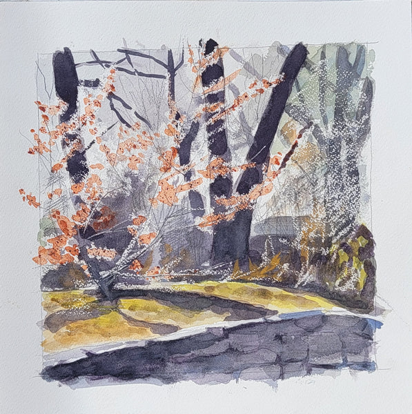 Keith Leitner: March Hamamelis