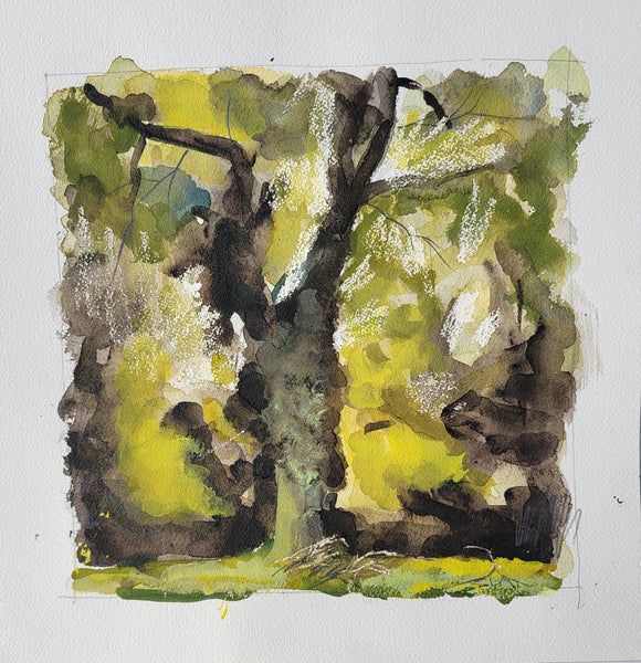Ormiston Copse, watercolor on Arches paper painting by Cerulean Arts Collective Member Keith Leitner