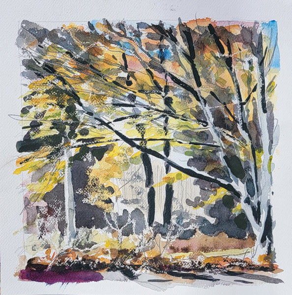 A square watercolor painting of autumn trees with yellow, orange, brown, black, and white brushstrokes on a white paper background.
