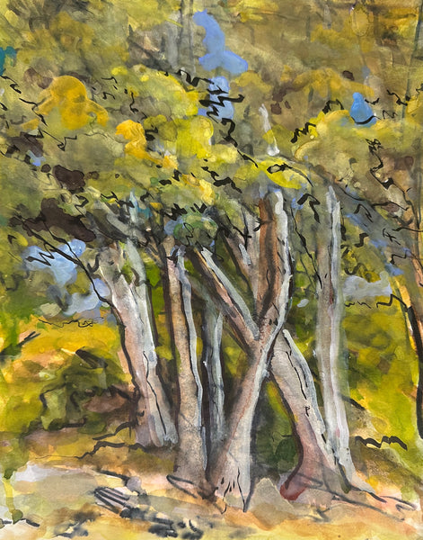 Artistic depiction of trees with a focus on their trunks and branches.