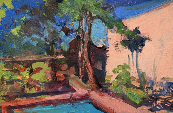 Aaron Lubrick: Florida Swimming Pool
