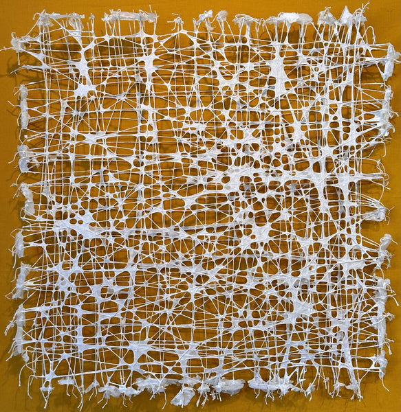 Matrix, paper pulp and string sculpture by Cerulean Arts Collective Member Anne Marble. 