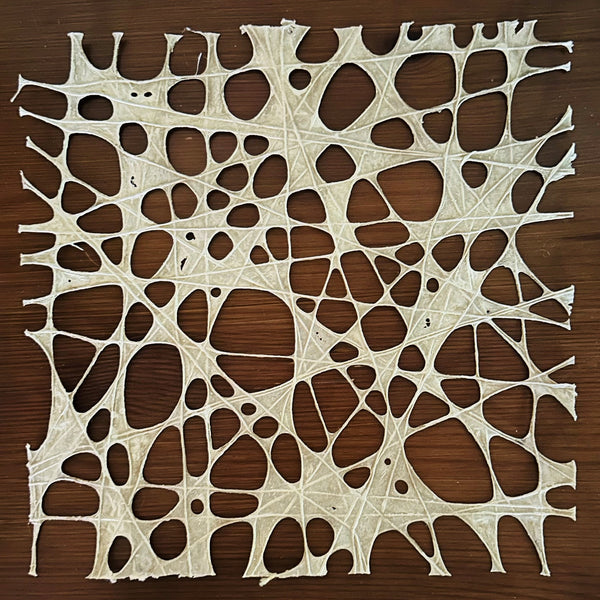 Anne Marble: Web 1
