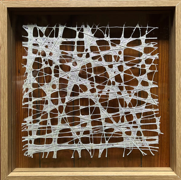 Anne Marble: Web 2