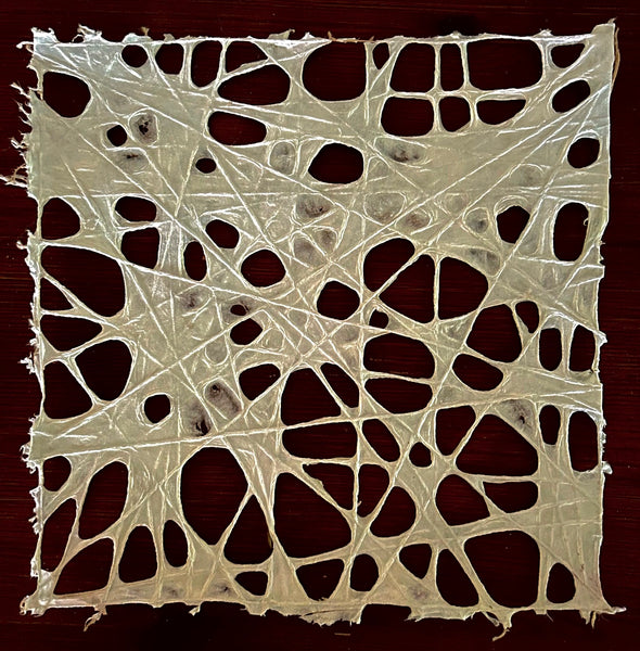 Anne Marble: Web 4