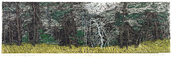 Woodcut print of a textured landscape with trees and grasses in the foreground