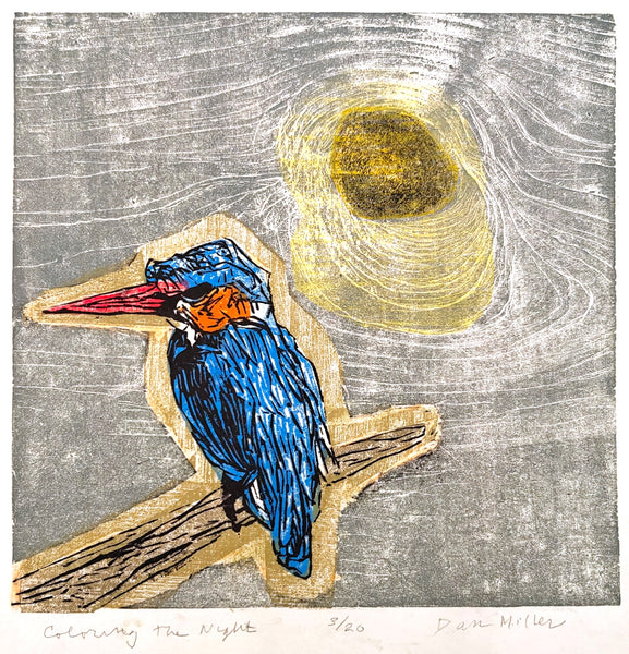Dan Miller: Coloring the Night