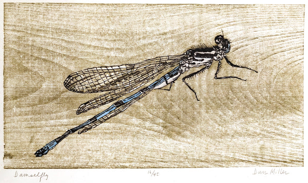 Woodcut print of a damselfly on a textured beige background