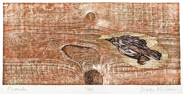 Woodcut print of a finch against a wood textured background 