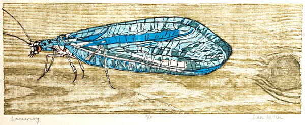 Woodcut print of a lacewing on a wooden surface