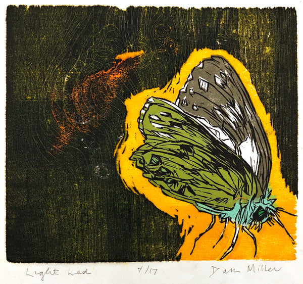 Woodcut of a butterfly on a dark background with a yellow border
