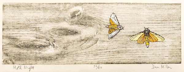 Woodcut print of two moths on a textured surface with a signature at the bottom right corner.