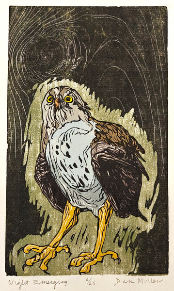 Woodcut print of a night bird with a dark background