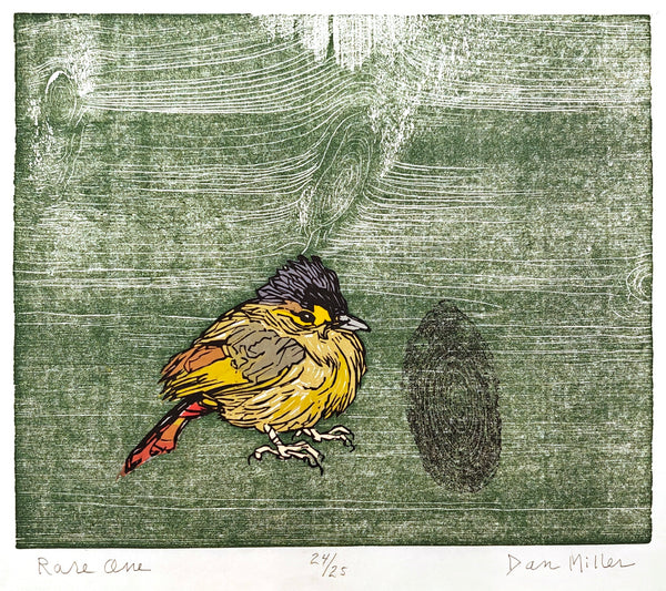 Colorful woodcut print of a bird on a textured green background