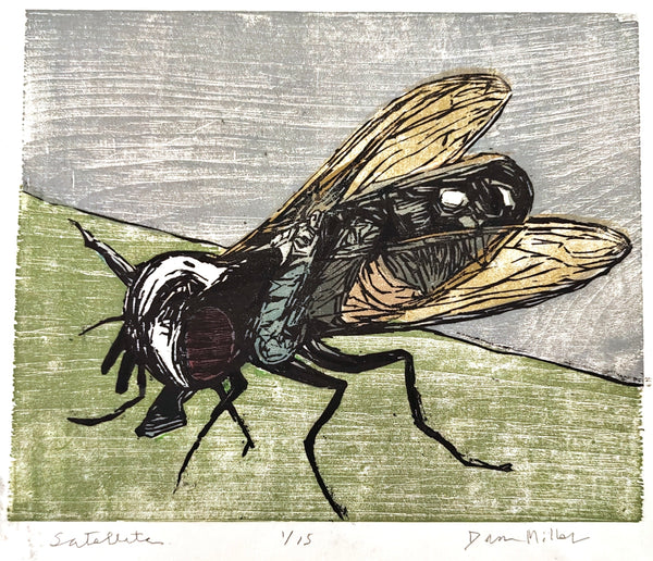 Woodcut print of a fly on a textured background