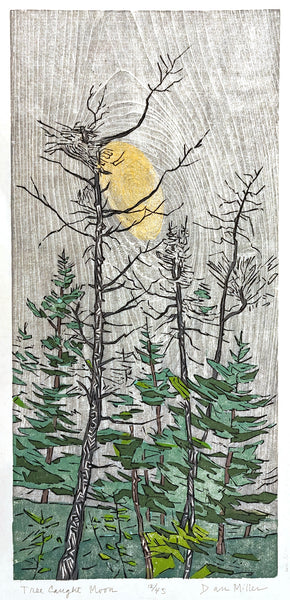 Woodcut print illustration of a forest with a large moon in the sky