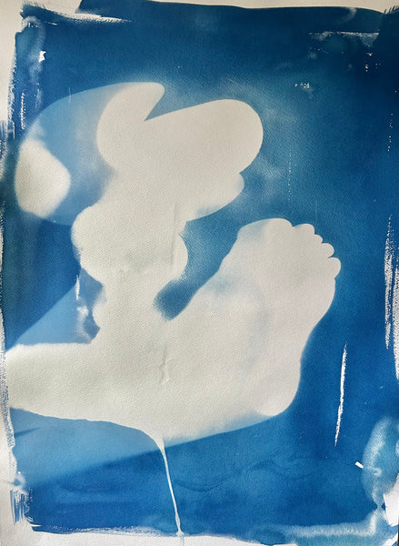 Emergent, cyanotype on paper print by Cerulean Arts Collective Member Amanda Moseley.