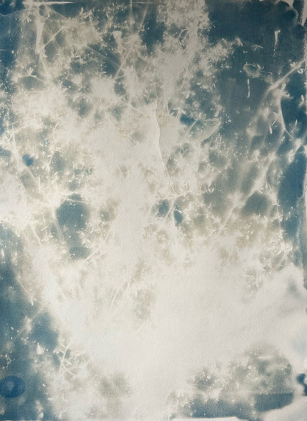 Into the Tessaract, cyanotype on paper print by Cerulean Arts Collective Member Amanda Moseley.