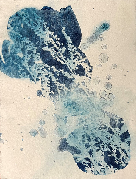 July, cyanotype on paper abstract floral print by Cerulean Arts Collective Member Amanda Moseley. 