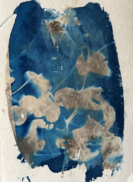 Just Before Autumn, cyanotype and Van Dyke Brown on paper print by Cerulean Arts Collective Member Amanda Moseley