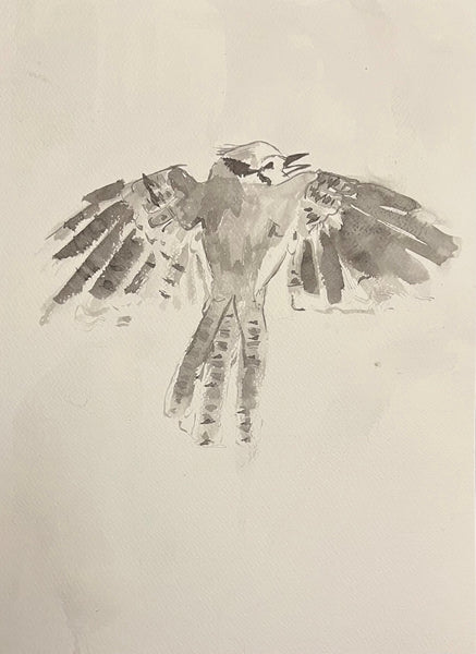 Take Flight, sumi ink on paper bird drawing by Cerulean Arts Collective Member Amanda Moseley. 
