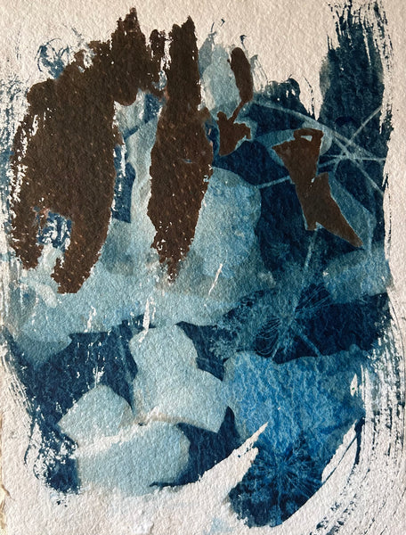 This July, cyanotype and Van Dyke Brown on paper print by Cerulean Arts Collective Member Amanda Moseley