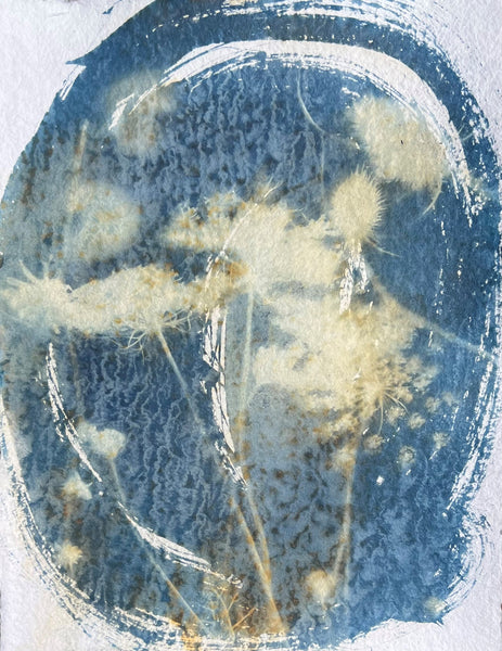 Under the Bell Jar, cyanotype on paper print, by Cerulean Arts Collective Member Amanda Mosel