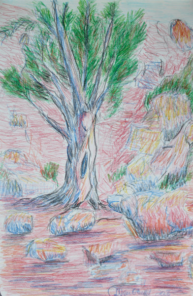 Santa Fe Tree, colored pencil drawing by Philadelphia artist Colleen O’Donnell, available at Cerulean Arts. 