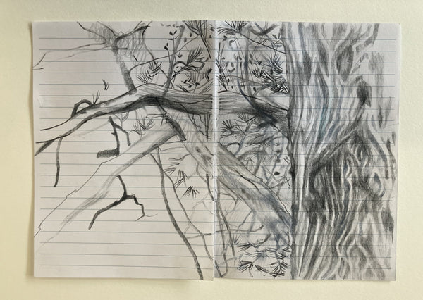 Michelle Oosterbaan: Pine Petersborough