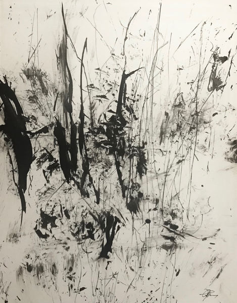 Ginny Perry:  Canal Spontaneity