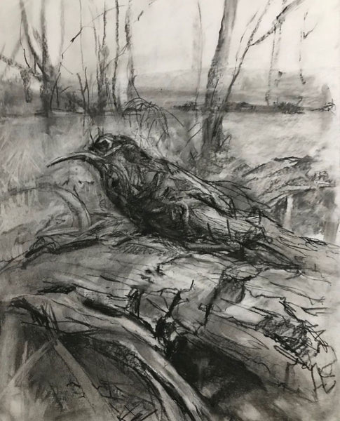 Charcoal drawing of a bird perched on a log in a forest setting