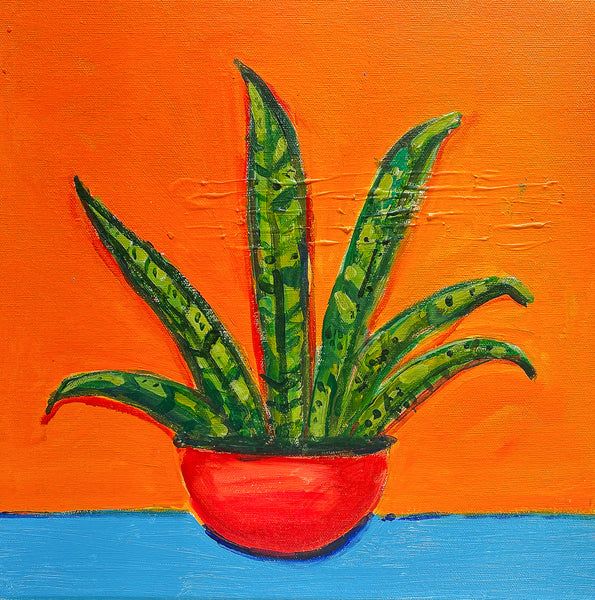 Snake Plant (Orange), acrylic on canvas painting by Cerulean Arts Collective Member Elaina Posey