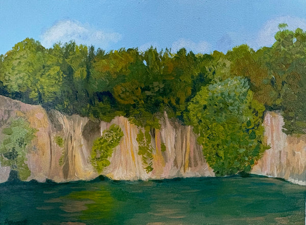 Painting of a forested cliffside with water below