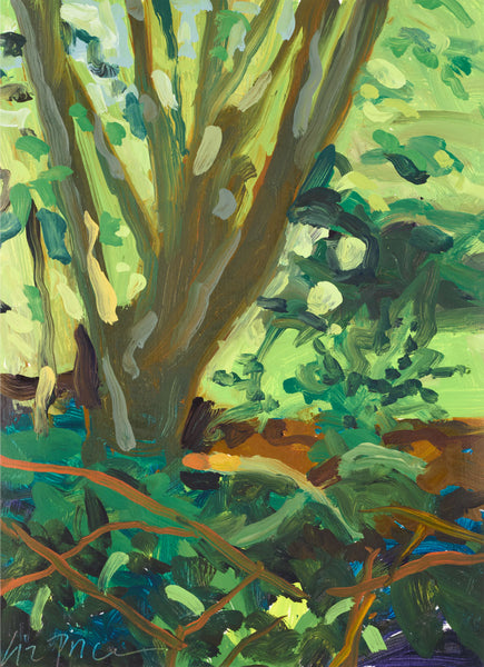 Liz Price: Kousa Dogwood
