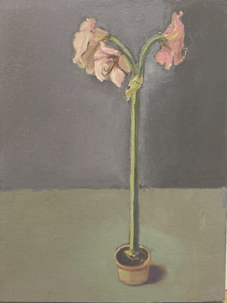 Leo Robinson: Amaryllis