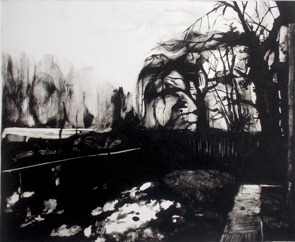 Monotype: The Painterly Print with Shushana Rucker