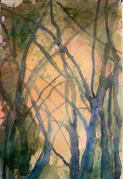 Tree Tracery, August Sunset (No. 233, 2021), watercolor on paper painting by New Jersey artist Noreen Scott Garrity