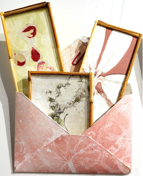 Christine Stoughton: Garden Notes A