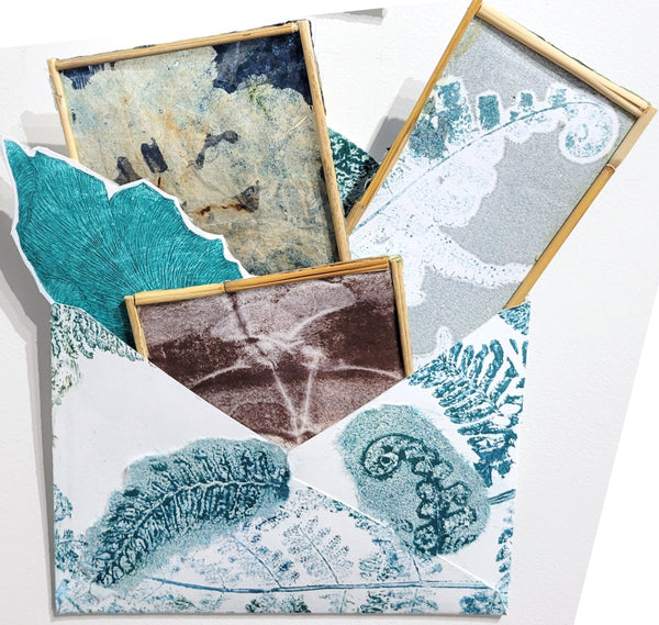 Christine Stoughton: Garden Notes D