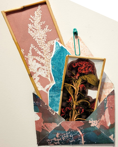 Christine Stoughton: Garden Notes F