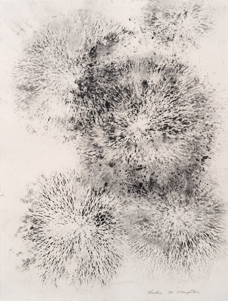 July 4, #2, graphite powder on Arches paper by Cerulean Arts Collective Member Christine Stoughton. 