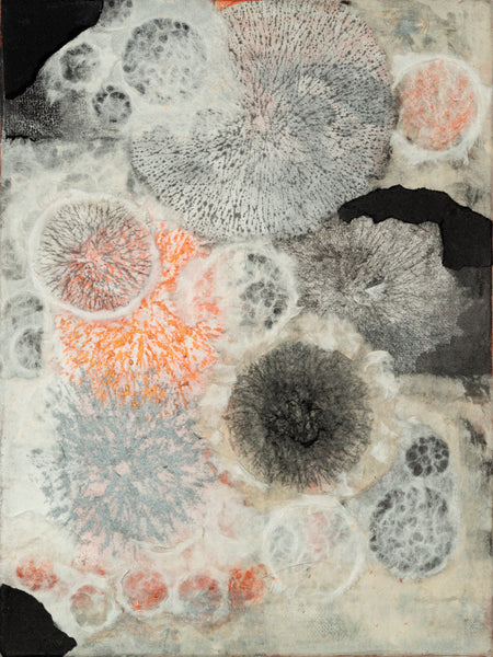 Puff Balls, mixed media on wood panel by Cerulean Arts Collective Member Christine Stoughton.