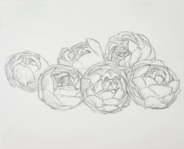 Peonies Study (Discards), graphite on paper drawing by Cerulean Arts Collective Member Allison Syvertsen