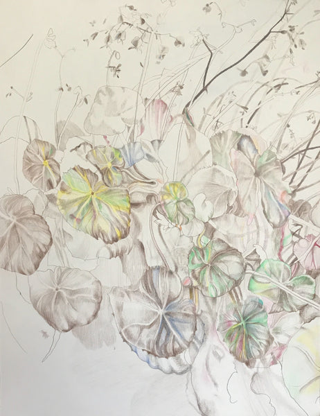 Color Pencil Drawing with Michelle Oosterbaan