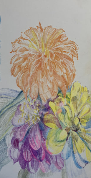 Color Pencil Drawing with Michelle Oosterbaan