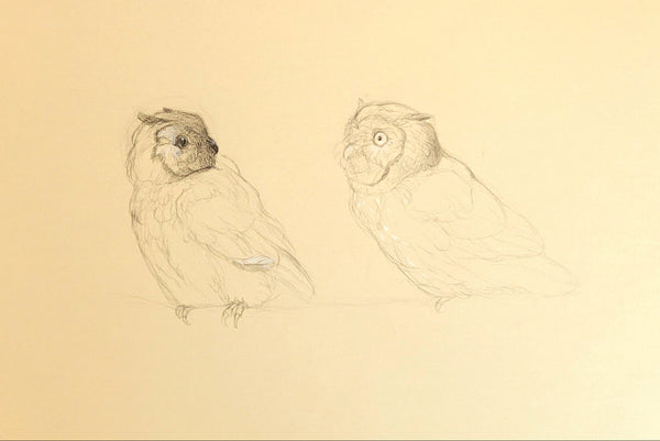A minimalist pencil sketch of two owls on a warm cream-colored background.